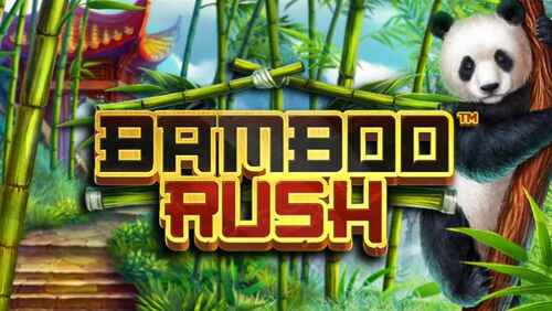 Click to play Bamboo Rush in demo mode for free