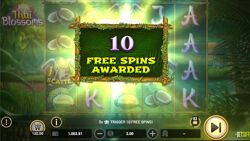 Thai Blossoms Free Spins Awarded
