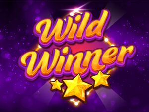 Play Wild Winner for free. No download required.